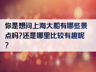 你是想问上海大船有哪些景点吗？还是哪里比较有趣呢？