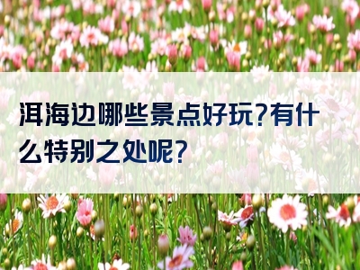 洱海边哪些景点好玩？有什么特别之处呢？