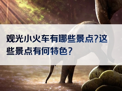 观光小火车有哪些景点？这些景点有何特色？
