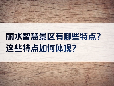 丽水智慧景区有哪些特点？这些特点如何体现？