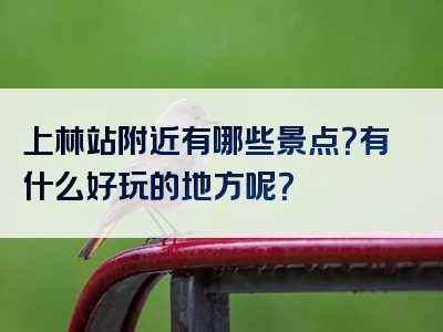 上林站附近有哪些景点？有什么好玩的地方呢？