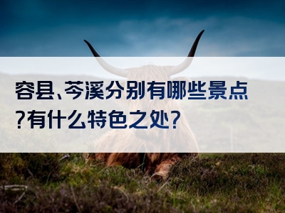 容县、芩溪分别有哪些景点？有什么特色之处？