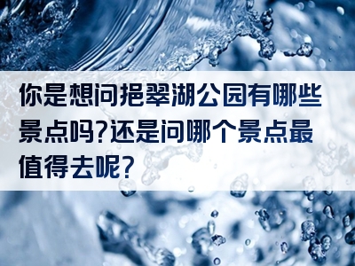 你是想问挹翠湖公园有哪些景点吗？还是问哪个景点最值得去呢？