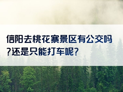 信阳去桃花寨景区有公交吗？还是只能打车呢？