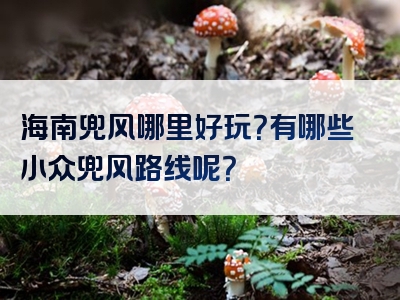 海南兜风哪里好玩？有哪些小众兜风路线呢？