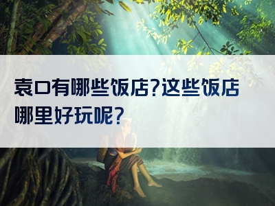 袁口有哪些饭店？这些饭店哪里好玩呢？