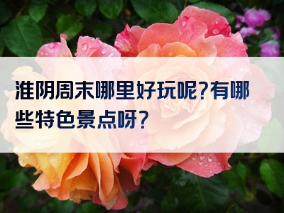 淮阴周末哪里好玩呢？有哪些特色景点呀？