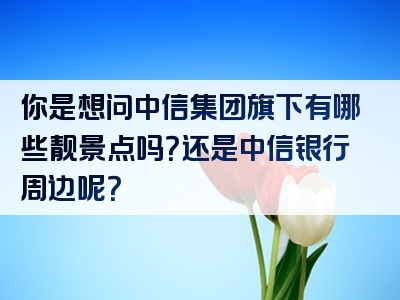 你是想问中信集团旗下有哪些靓景点吗？还是中信银行周边呢？