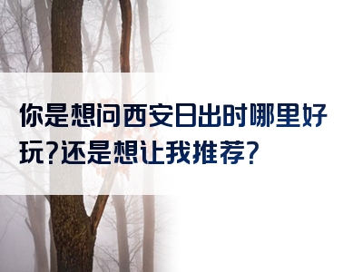 你是想问西安日出时哪里好玩？还是想让我推荐？