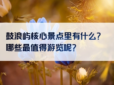 鼓浪屿核心景点里有什么？哪些最值得游览呢？