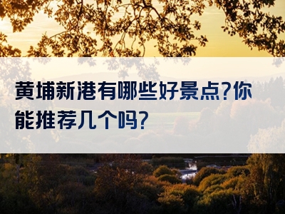 黄埔新港有哪些好景点？你能推荐几个吗？