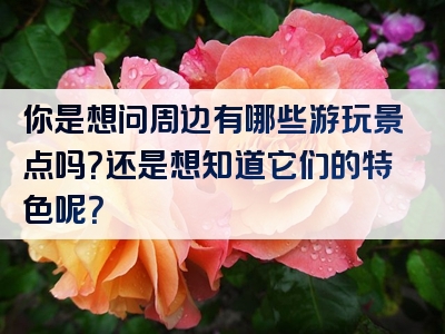 你是想问周边有哪些游玩景点吗？还是想知道它们的特色呢？