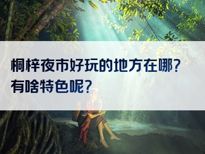 桐梓夜市好玩的地方在哪？有啥特色呢？