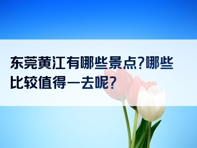 东莞黄江有哪些景点？哪些比较值得一去呢？