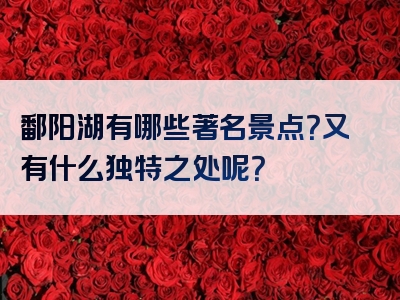 鄱阳湖有哪些著名景点？又有什么独特之处呢？