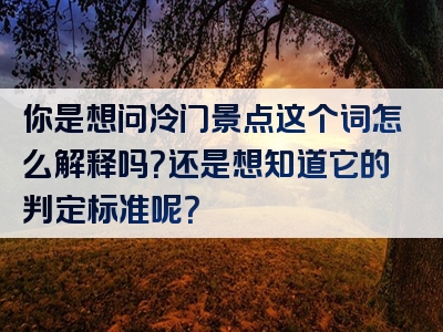 你是想问冷门景点这个词怎么解释吗？还是想知道它的判定标准呢？