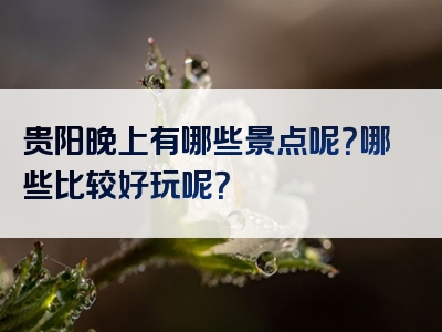 贵阳晚上有哪些景点呢？哪些比较好玩呢？