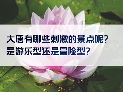 大唐有哪些刺激的景点呢？是游乐型还是冒险型？