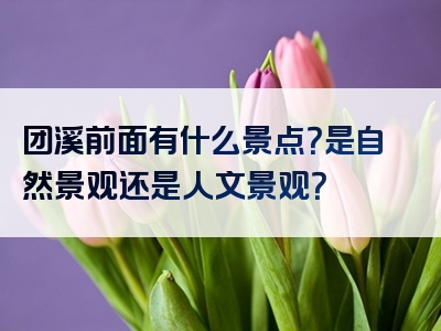 团溪前面有什么景点？是自然景观还是人文景观？