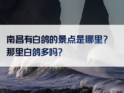 南昌有白鸽的景点是哪里？那里白鸽多吗？