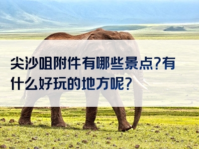 尖沙咀附件有哪些景点？有什么好玩的地方呢？