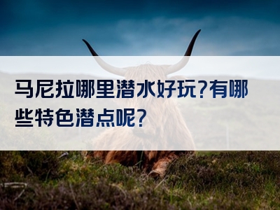 马尼拉哪里潜水好玩？有哪些特色潜点呢？