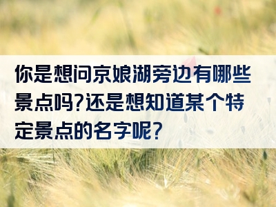 你是想问京娘湖旁边有哪些景点吗？还是想知道某个特定景点的名字呢？