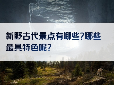 新野古代景点有哪些？哪些最具特色呢？