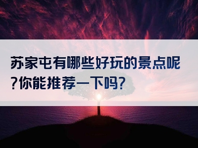 苏家屯有哪些好玩的景点呢？你能推荐一下吗？