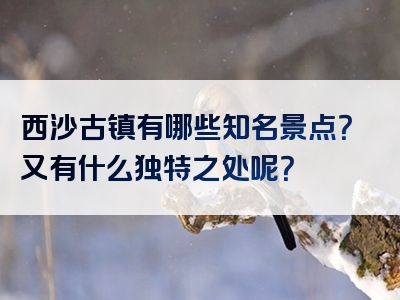 西沙古镇有哪些知名景点？又有什么独特之处呢？