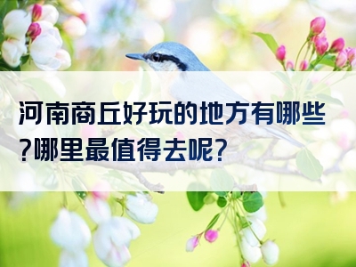 河南商丘好玩的地方有哪些？哪里最值得去呢？