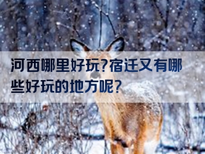 河西哪里好玩？宿迁又有哪些好玩的地方呢？