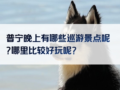 普宁晚上有哪些巡游景点呢？哪里比较好玩呢？
