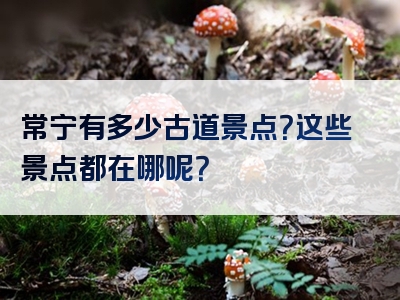 常宁有多少古道景点？这些景点都在哪呢？