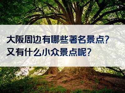 大阪周边有哪些著名景点？又有什么小众景点呢？