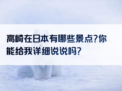 高崎在日本有哪些景点？你能给我详细说说吗？