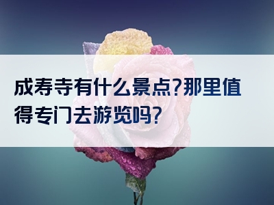 成寿寺有什么景点？那里值得专门去游览吗？