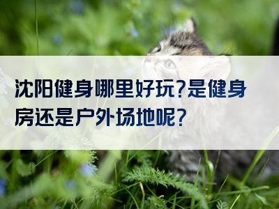 沈阳健身哪里好玩？是健身房还是户外场地呢？