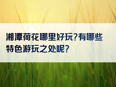 湘潭荷花哪里好玩？有哪些特色游玩之处呢？