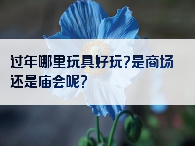 过年哪里玩具好玩？是商场还是庙会呢？