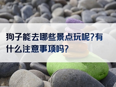 狗子能去哪些景点玩呢？有什么注意事项吗？