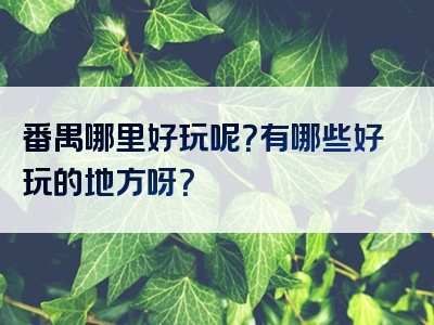 番禺哪里好玩呢？有哪些好玩的地方呀？