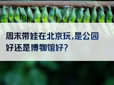 周末带娃在北京玩，是公园好还是博物馆好？