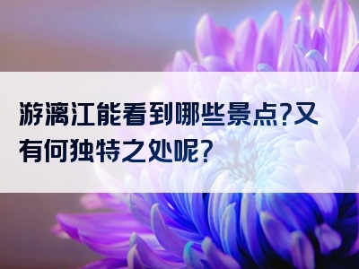游漓江能看到哪些景点？又有何独特之处呢？