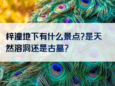 梓潼地下有什么景点？是天然溶洞还是古墓？