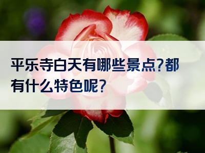 平乐寺白天有哪些景点？都有什么特色呢？