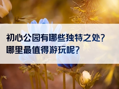 初心公园有哪些独特之处？哪里最值得游玩呢？