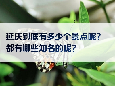 延庆到底有多少个景点呢？都有哪些知名的呢？