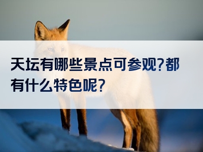 天坛有哪些景点可参观？都有什么特色呢？