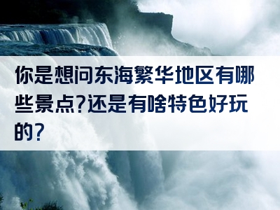 你是想问东海繁华地区有哪些景点？还是有啥特色好玩的？